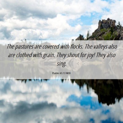 Picture 06 - Psalms 65:13 WEB - The pastures are covered with flocks. The valleys - Bible Verse Picture