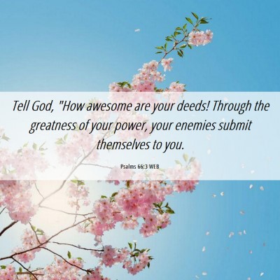 Picture 06 - Psalms 66:3 WEB - Tell God, 