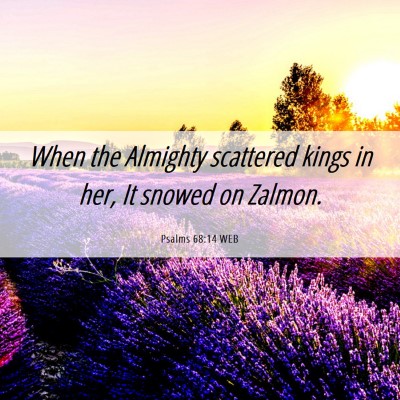 Picture 06 - Psalms 68:14 WEB - When the Almighty scattered kings in her, It - Bible Verse Picture