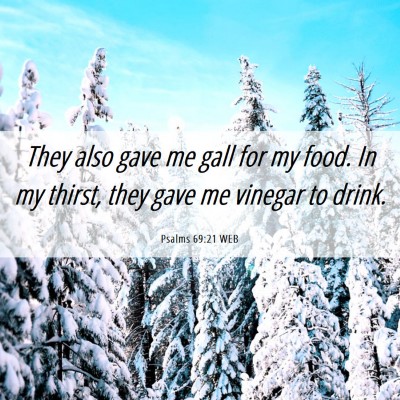Picture 06 - Psalms 69:21 WEB - They also gave me gall for my food. In my thirst, - Bible Verse Picture
