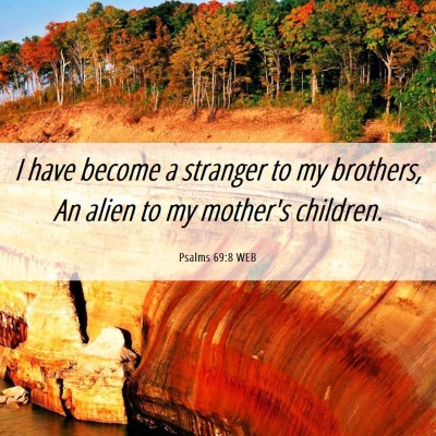Picture 06 - Psalms 69:8 WEB - I have become a stranger to my brothers, An alien - Bible Verse Picture