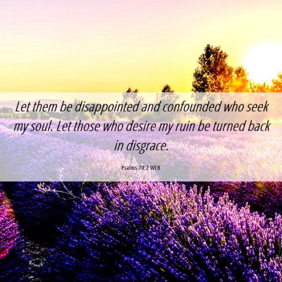 Picture 06 - Psalms 70:2 WEB - Let them be disappointed and confounded who seek - Bible Verse Picture