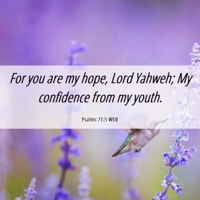 Picture 06 - Psalms 71:5 WEB - For you are my hope, Lord Yahweh; My confidence - Bible Verse Picture