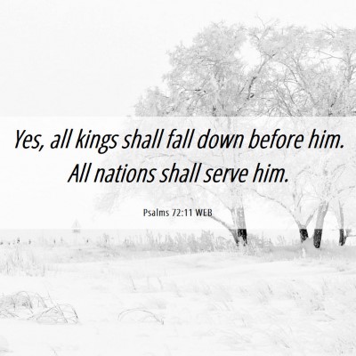 Picture 06 - Psalms 72:11 WEB - Yes, all kings shall fall down before him. All - Bible Verse Picture