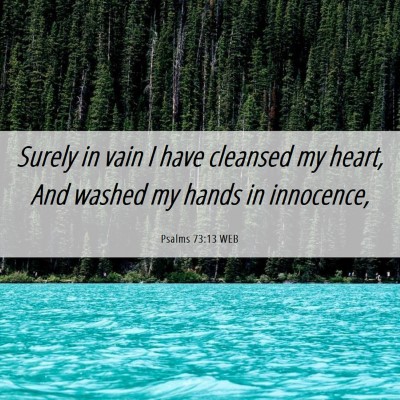 Picture 06 - Psalms 73:13 WEB - Surely in vain I have cleansed my heart, And - Bible Verse Picture