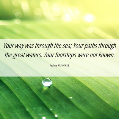 Picture 06 - Psalms 77:19 WEB - Your way was through the sea; Your paths through - Bible Verse Picture