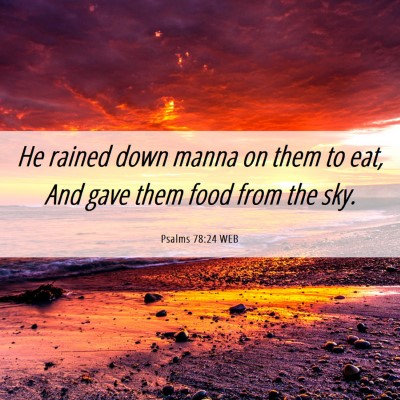 Picture 06 - Psalms 78:24 WEB - He rained down manna on them to eat, And gave - Bible Verse Picture