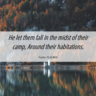 Picture 06 - Psalms 78:28 WEB - He let them fall in the midst of their camp, - Bible Verse Picture