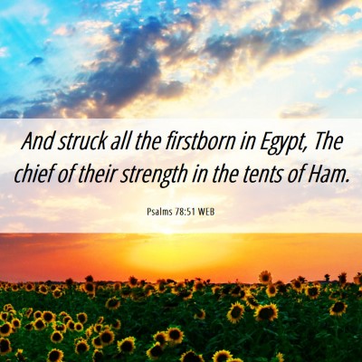 Picture 06 - Psalms 78:51 WEB - And struck all the firstborn in Egypt, The chief - Bible Verse Picture