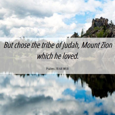 Picture 06 - Psalms 78:68 WEB - But chose the tribe of Judah, Mount Zion which he - Bible Verse Picture