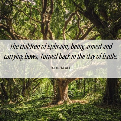 Picture 06 - Psalms 78:9 WEB - The children of Ephraim, being armed and carrying - Bible Verse Picture