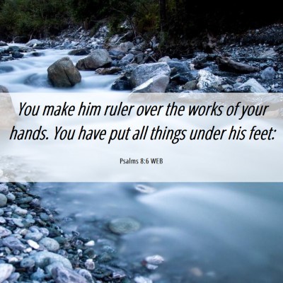 Picture 06 - Psalms 8:6 WEB - You make him ruler over the works of your hands. - Bible Verse Picture