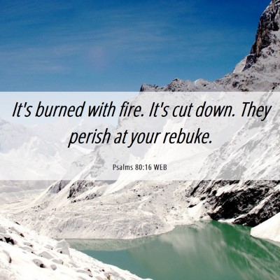 Picture 06 - Psalms 80:16 WEB - It's burned with fire. It's cut down. They perish - Bible Verse Picture