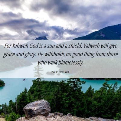 Picture 06 - Psalms 84:11 WEB - For Yahweh God is a sun and a shield. Yahweh will - Bible Verse Picture
