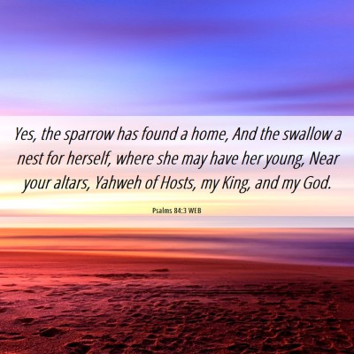 Picture 06 - Psalms 84:3 WEB - Yes, the sparrow has found a home, And the - Bible Verse Picture