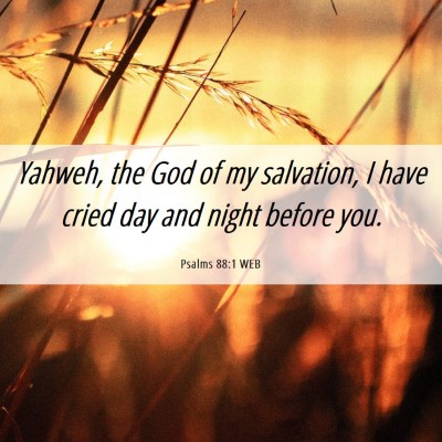 Picture 06 - Psalms 88:1 WEB - Yahweh, the God of my salvation, I have cried day - Bible Verse Picture