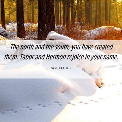 Picture 06 - Psalms 89:12 WEB - The north and the south, you have created them. - Bible Verse Picture