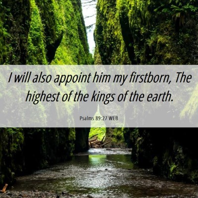 Picture 06 - Psalms 89:27 WEB - I will also appoint him my firstborn, The highest - Bible Verse Picture