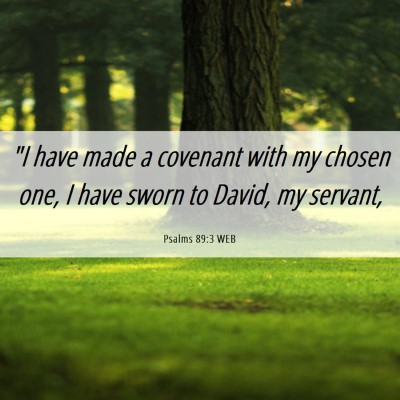 Picture 06 - Psalms 89:3 WEB - 