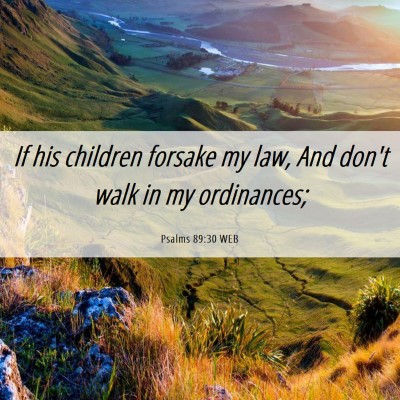 Picture 06 - Psalms 89:30 WEB - If his children forsake my law, And don't walk in - Bible Verse Picture