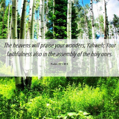 Picture 06 - Psalms 89:5 WEB - The heavens will praise your wonders, Yahweh; - Bible Verse Picture