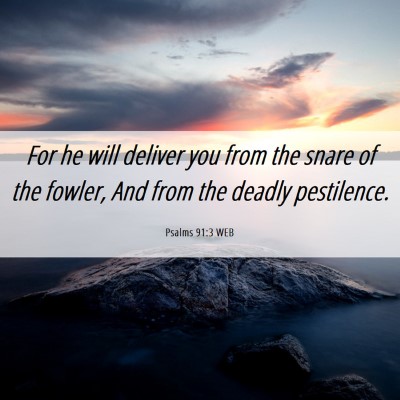 Picture 06 - Psalms 91:3 WEB - For he will deliver you from the snare of the - Bible Verse Picture