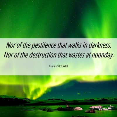 Picture 06 - Psalms 91:6 WEB - Nor of the pestilence that walks in darkness, Nor - Bible Verse Picture