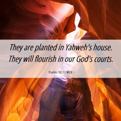 Picture 06 - Psalms 92:13 WEB - They are planted in Yahweh's house. They will - Bible Verse Picture