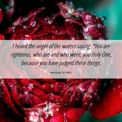Picture 06 - Revelation 16:5 WEB - I heard the angel of the waters saying, 