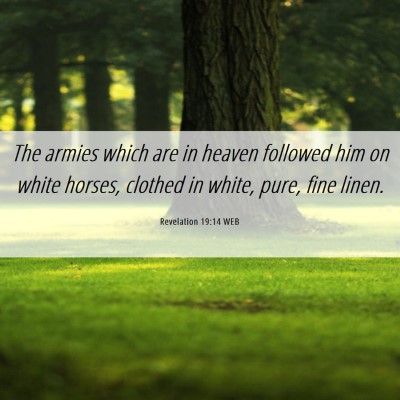 Picture 06 - Revelation 19:14 WEB - The armies which are in heaven followed him on - Bible Verse Picture