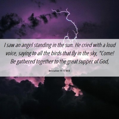 Picture 06 - Revelation 19:17 WEB - I saw an angel standing in the sun. He cried with - Bible Verse Picture