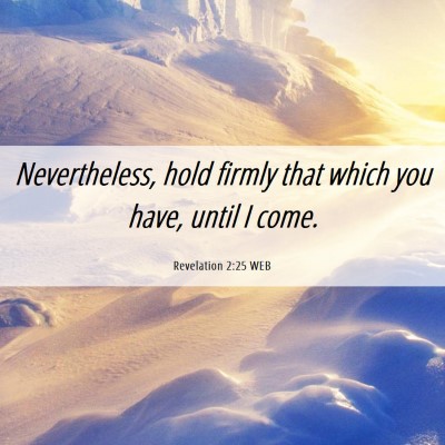 Picture 06 - Revelation 2:25 WEB - Nevertheless, hold firmly that which you have, - Bible Verse Picture