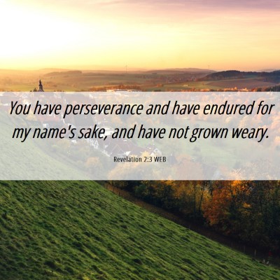 Picture 06 - Revelation 2:3 WEB - You have perseverance and have endured for my - Bible Verse Picture