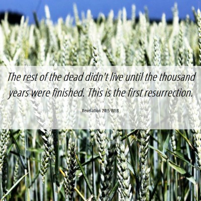 Picture 06 - Revelation 20:5 WEB - The rest of the dead didn't live until the - Bible Verse Picture