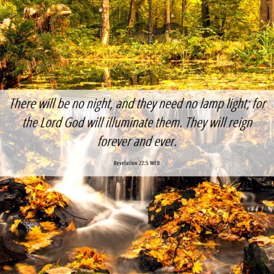 Picture 06 - Revelation 22:5 WEB - There will be no night, and they need no lamp - Bible Verse Picture