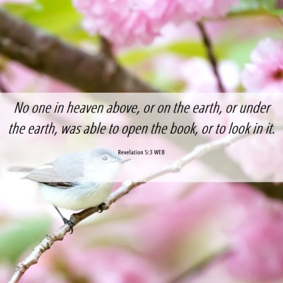 Picture 06 - Revelation 5:3 WEB - No one in heaven above, or on the earth, or under - Bible Verse Picture