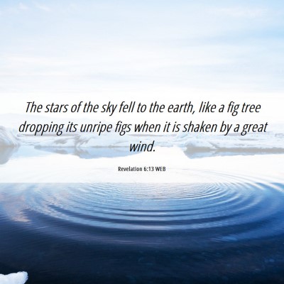 Picture 06 - Revelation 6:13 WEB - The stars of the sky fell to the earth, like a - Bible Verse Picture