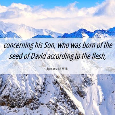 Picture 06 - Romans 1:3 WEB - concerning his Son, who was born of the seed of - Bible Verse Picture