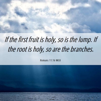 Picture 06 - Romans 11:16 WEB - If the first fruit is holy, so is the lump. If - Bible Verse Picture