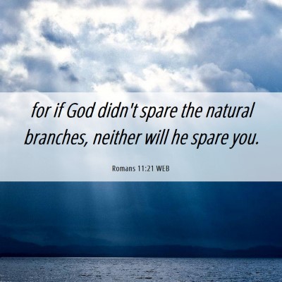 Picture 06 - Romans 11:21 WEB - for if God didn't spare the natural branches, - Bible Verse Picture