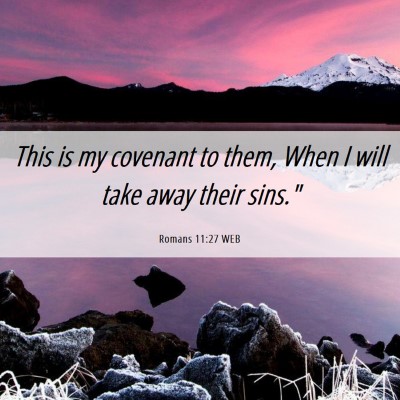 Picture 06 - Romans 11:27 WEB - This is my covenant to them, When I will take - Bible Verse Picture
