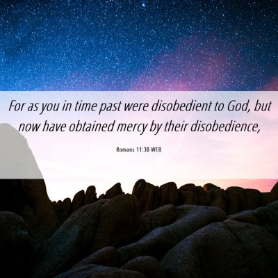 Picture 06 - Romans 11:30 WEB - For as you in time past were disobedient to God, - Bible Verse Picture