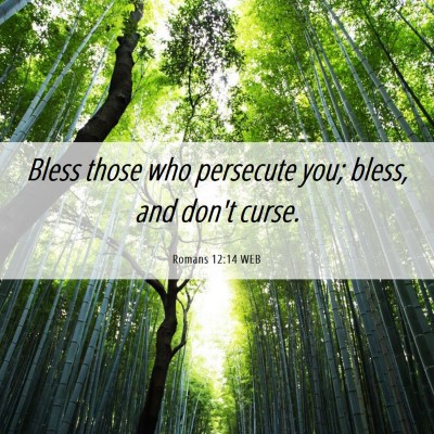 Picture 06 - Romans 12:14 WEB - Bless those who persecute you; bless, and don't - Bible Verse Picture