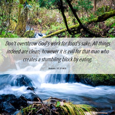 Picture 06 - Romans 14:20 WEB - Don't overthrow God's work for food's sake. All - Bible Verse Picture
