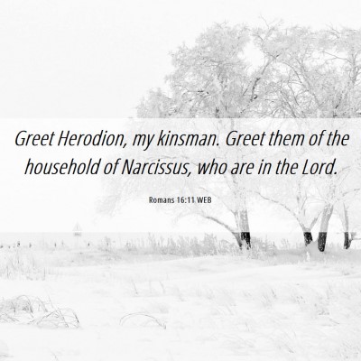 Picture 06 - Romans 16:11 WEB - Greet Herodion, my kinsman. Greet them of the - Bible Verse Picture
