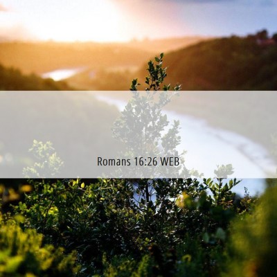 Picture 06 - Romans 16:26 WEB -  - Bible Verse Picture
