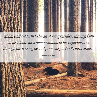 Picture 06 - Romans 3:25 WEB - whom God set forth to be an atoning sacrifice, - Bible Verse Picture