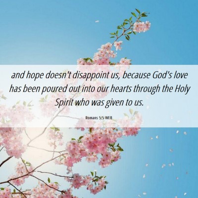 Picture 06 - Romans 5:5 WEB - and hope doesn't disappoint us, because God's - Bible Verse Picture