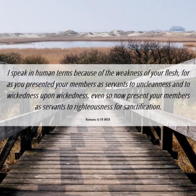 Picture 06 - Romans 6:19 WEB - I speak in human terms because of the weakness of - Bible Verse Picture