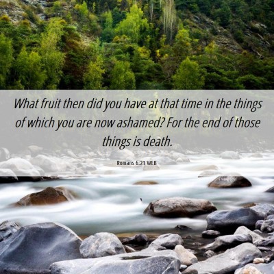 Picture 06 - Romans 6:21 WEB - What fruit then did you have at that time in the - Bible Verse Picture
